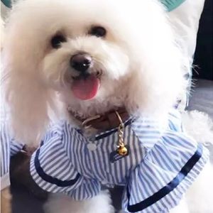 Dog 🐶 Puppy Girl Classic Stripes Top